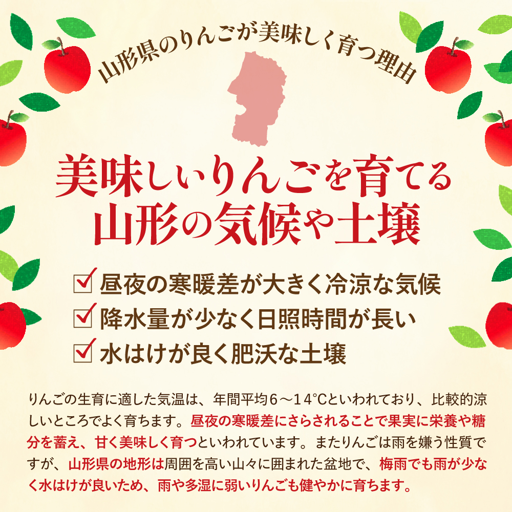 【2026年産】 樹上完熟ふじりんご 赤秀 5kg箱（16、18、20個詰め） 山形県 東根市 JA提供 hi001-051