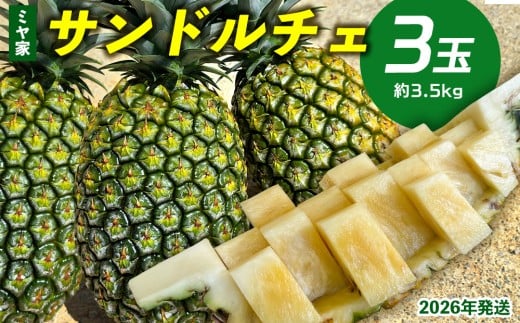 ミヤ家　サンドルチェ　3玉（約3.5kg） 2026年発送 沖縄県産 東村 パイナップル ジューシー 希少 高級フルーツ 南国フルーツ 国産フルーツ 農家直送 パイン サンドルチェ 贈り物 おすすめ お土産 人気 やんばる 大自然 南国気分 沖縄本島北部