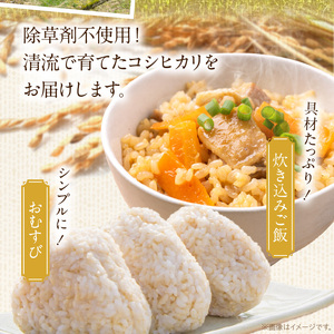 S150-005_天草方原産　清流米　コシヒカリ　玄米5キロ