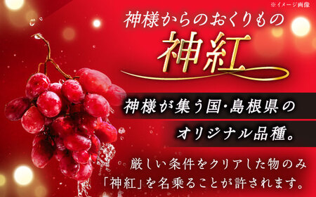 【2026年8月初旬頃から順次発送】【訳あり】ぶどう 食べ比べ シャインマスカット 神紅 各1房 詰め合わせ セット[AIAA005]