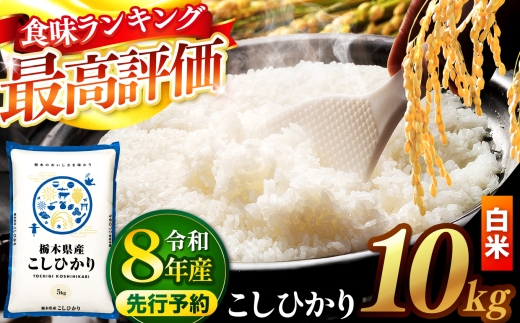 【先行予約】 ＼白米／ 栃木県産コシヒカリ 10kg | 真岡市産 コシヒカリ 銘柄 お米 米 おにぎり おむすび  ふるさと納税 栃木県 真岡市 送料無料