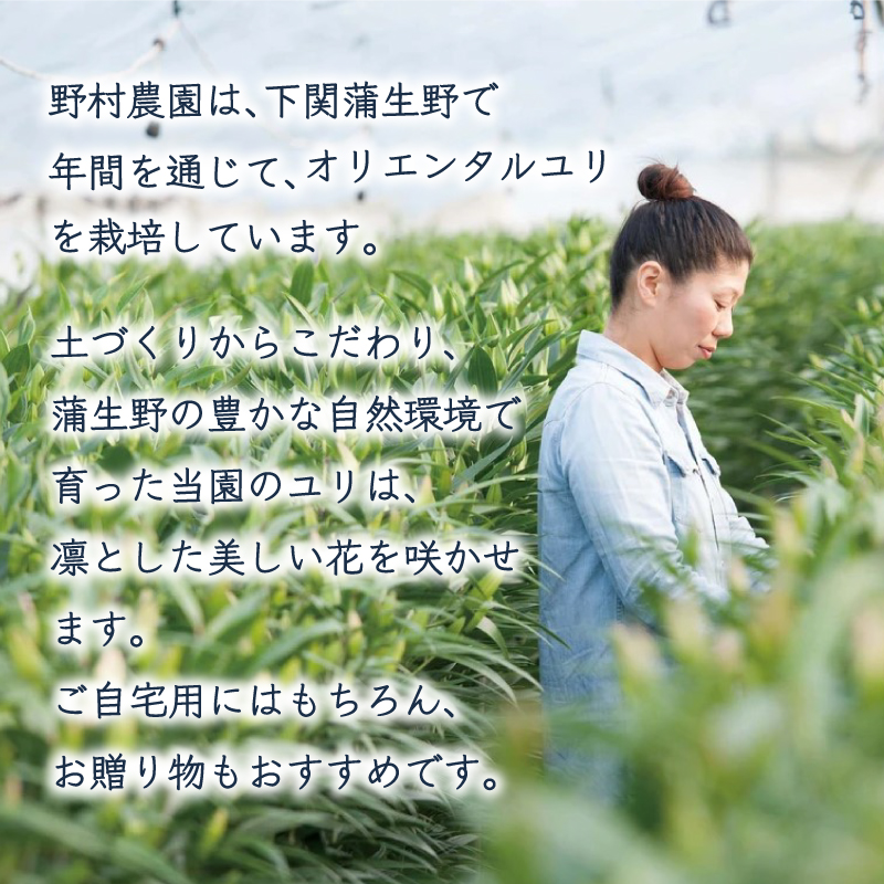 オリエンタルユリ 花束 5本 (蕾数 約20個) 下関市 山口