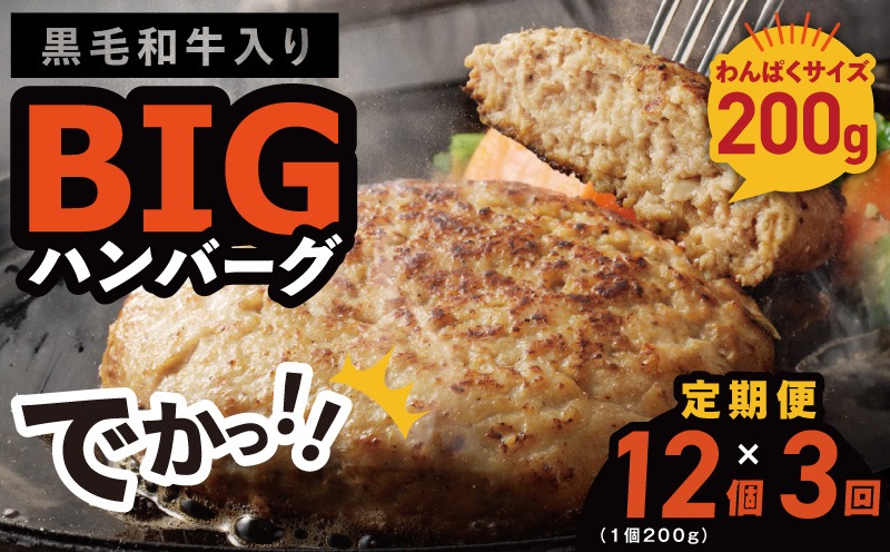 099Z412 【定期便】黒毛和牛入り BIGハンバーグ（200g×12個）全3回 【毎月配送コース】