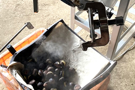 冷凍 焼き栗 2袋 （果じゅまる園）栗 くり クリ M L サイズ 焼栗 農薬不使用 殺虫剤不使用 国産 和栗 甘栗 果物 フルーツ くだもの 秋 旬 10月 11月 12月 発送 産地直送 農家直送