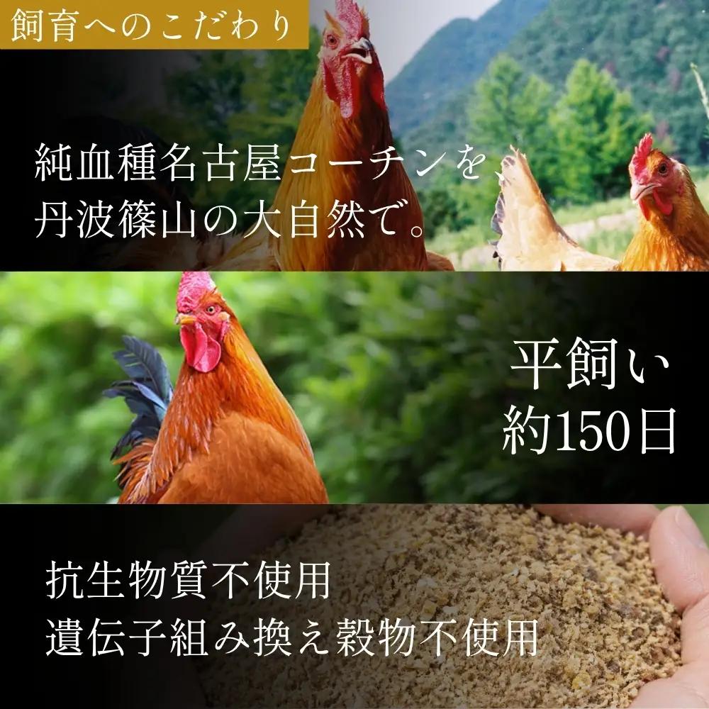 鶏たたき 名古屋コーチン 丹波ささやま地鶏  （もも肉1枚 むね肉1枚）鶏たたき