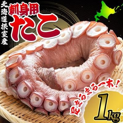 ふるさと納税 根室市 【年内配送可】★たこ足刺身用1本(1kg以上) A-80003