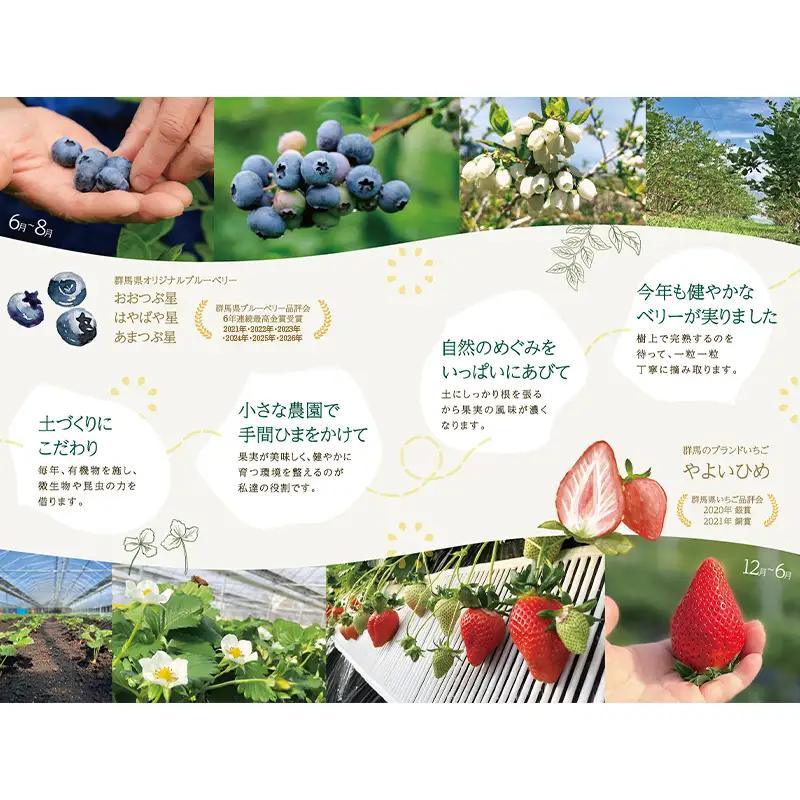 ブルーベリー大粒1kg 朝摘みでお届け！【6年連続最高金賞受賞 群馬県ブルーベリー品評会2021~2026年】 大粒 化学農薬不使用 除草剤不使用 フルーツ 果物 F4H-0684