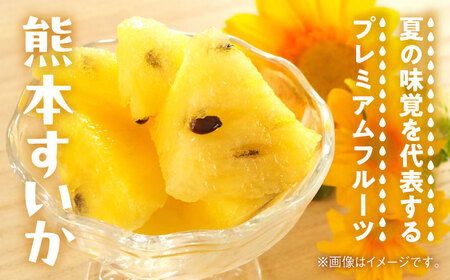 【2026年 先行予約】【数量限定】すいか 金色羅皇 1玉入り 約8kg以上 黄色い スイカ 甘い【日本フルーツ株式会社】[AYDA008]