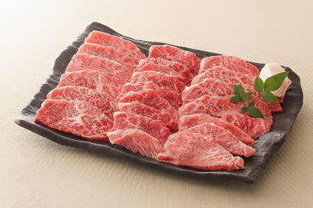 【ふるさと納税】【レビューキャンペーン対象商品】飛騨牛 モモ 焼肉 用 約500g