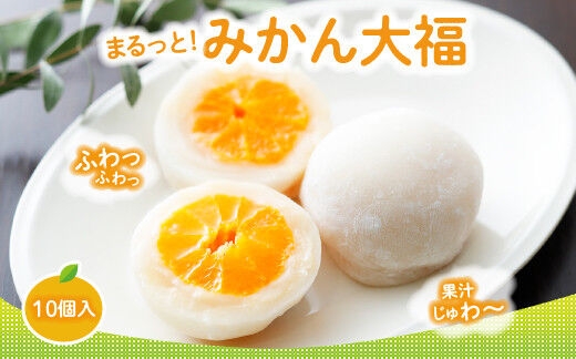 
                  みかん丸ごと1個入った甘仙堂のみかん大福 10個入 大福 和菓子 スイーツ [みちのく和菓子処 甘仙堂]
                