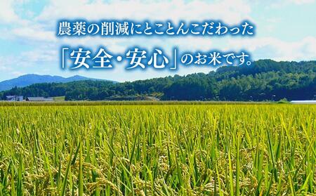 【令和7年産】特別栽培米ゆめぴりか 5kg・旭川産ななつぼし 5kg 計10kg(2025年11月中旬から発送開始予定) _01457