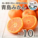 【ふるさと納税】【先行予約】【2025月1月より順次出荷予定】青島みかん約10kg サイズミックス〔鈴木農園〕【1510096】