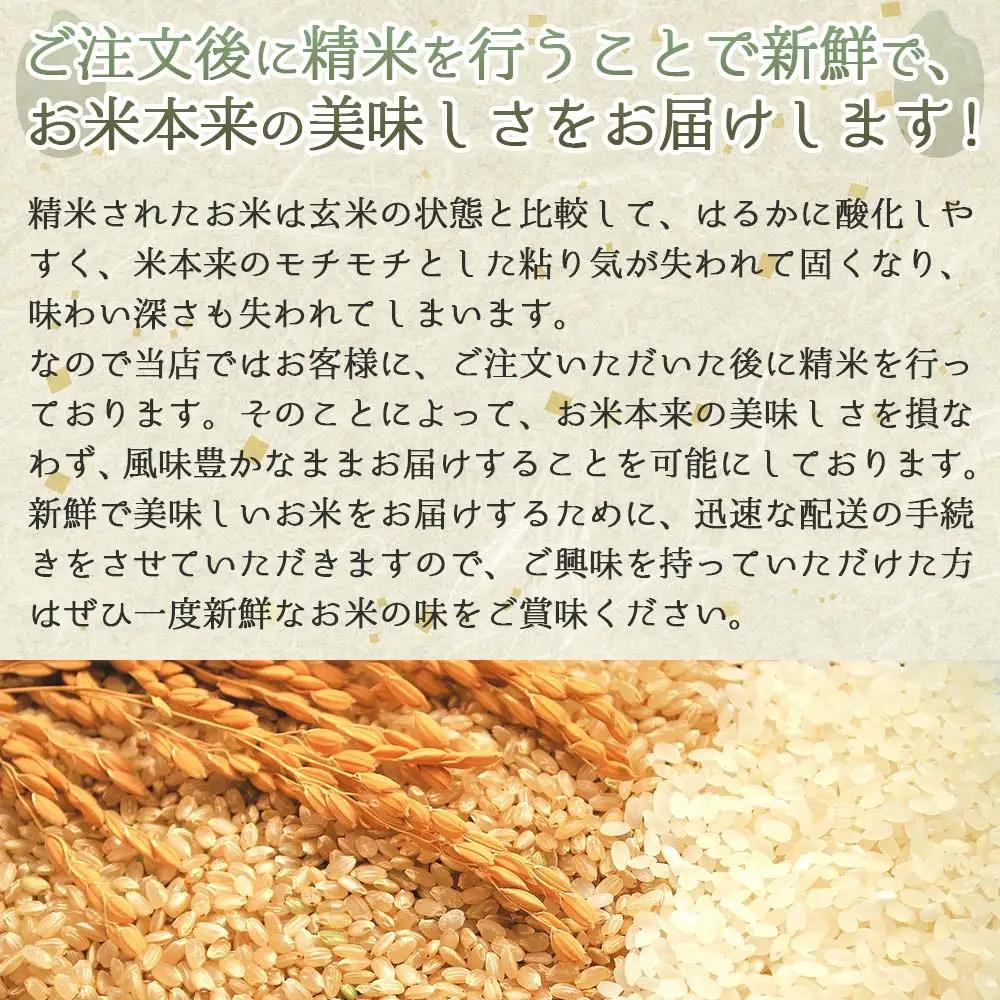【ヒノヒカリ】令和7年産 白米30kg【5営業日以内に発送】