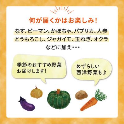 ふるさと納税 糸島市 バーベキュー・グリル用朝採れ野菜特選セット 福岡県糸島産(7-8人分) [AGE039] |  | 01