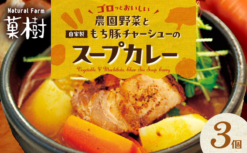 
            【ナチュラルファーム菓樹】農園野菜と自家製もち豚チャーシューのスープカレー 3個セット NK0206
          