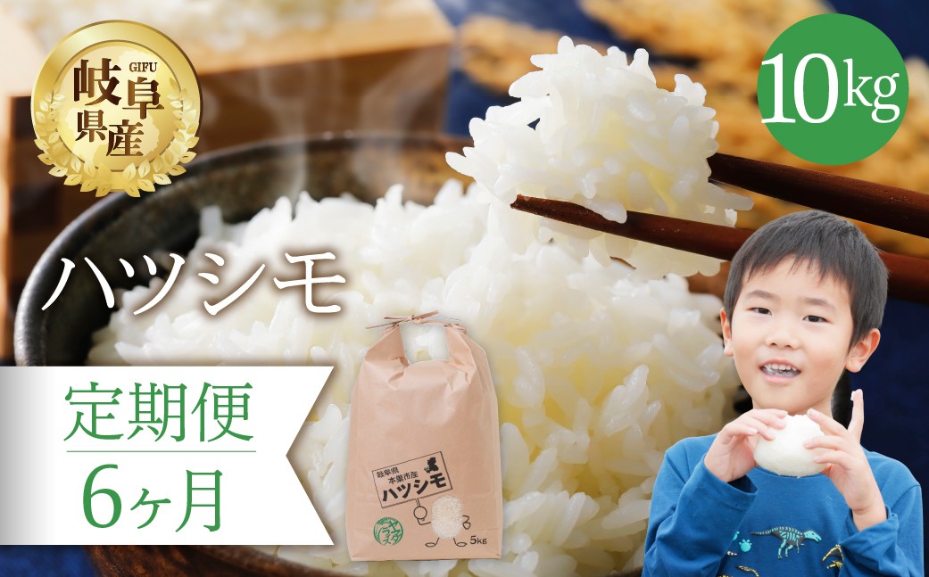 
            【 6回 定期便 】 ハツシモ 10kg × 6か月 米 こめ ごはん 白米 岐阜県産 本巣市 お米 精米 おにぎり 弁当 さっぱり 旨味 甘い 和食 寿司 岐阜県産 ヤマダライス 
          