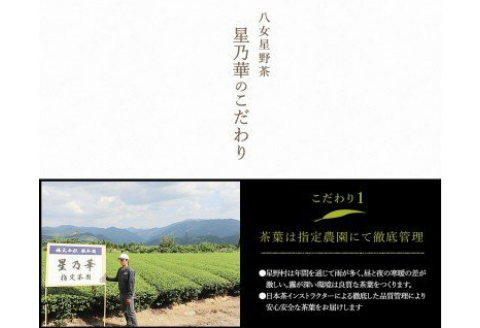 【S-002】八女伝統本玉露:星乃しずく茶Cセット