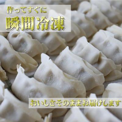 ふるさと納税 泉佐野市 生餃子 50個セット【小分け 5パック 甘いと評判 松波キャベツ使用】 010B1538 |  | 02