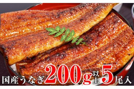 超特大サイズ国産うなぎ蒲焼き5本セット（合計1kg）(B489-2)