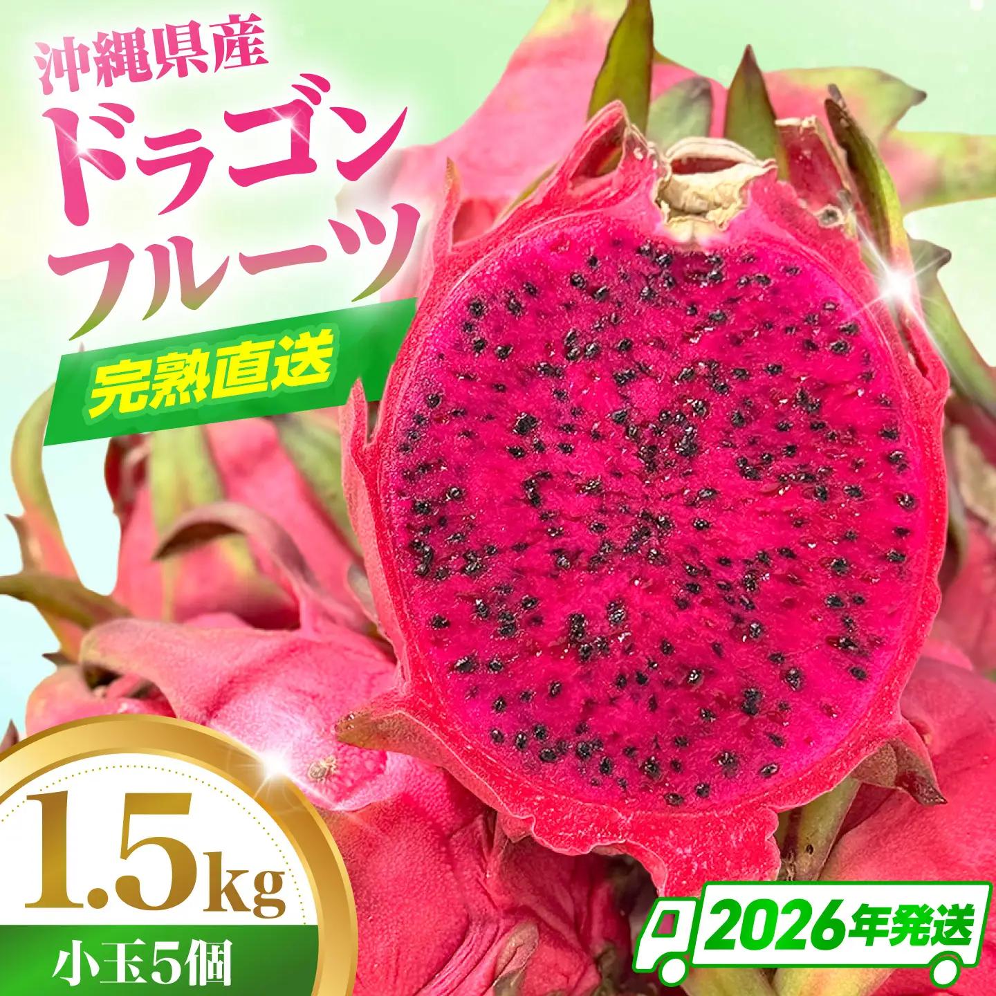【小玉】完熟直送！ドラゴンフルーツ 1.5kg 果物 沖縄 ドラゴンフルーツ