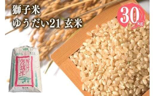 【令和7年産】獅子米 ゆうだい21 玄米30kg 岡田ファーム あなたが選ぶ日本一おいしい米コンテスト 最優秀金賞 受賞 お米 米 おこめ ブランド米 30キロ 国産 単一原料米 コメ こめ ご飯 銘柄米 茨城県産 茨城 産直 産地直送 農家直送 ごはん 家庭用 贈答用 お取り寄せ ギフト 茨城県 石岡市 (G433) (B02-016)