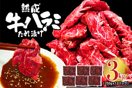熟成牛ハラミ 3kg (250g×12パック) たれ 味付 小分け 冷凍 焼肉 焼き肉 牛 牛肉 ビーフ ハラミ BBQ 【そうざい男しゃく（株式会社池延）】【ho1470】