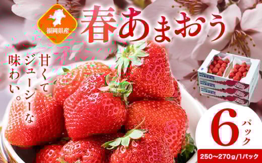 福岡県産 春あまおう 6パック 南国フルーツ株式会社《2月上旬-3月末頃出荷》福岡県 鞍手町 あまおう いちご イチゴ 送料無料【配送不可地域あり】