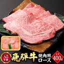 【ふるさと納税】 飛騨牛 A5 等級 焼肉 用 （ ロース 400g） | 肉のかた山 牛肉 送料無料 M22S38