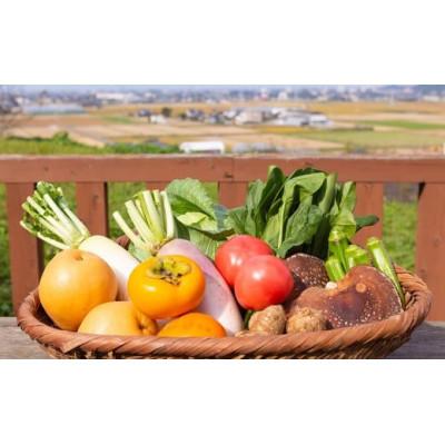 ふるさと納税 うきは市 部長ギフト(季節の果物・お野菜) U064-1VE-SEBG |  | 01