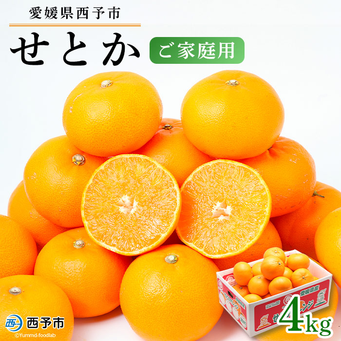 ＜愛媛県西予市産 せとか ご家庭用 約4kg＞ 訳あり 不揃い 傷 果物 フルーツ みかん ミカン 蜜柑 セトカ オレンジ 柑橘類 甘い 期間限定 食べて応援 特産品 宇都宮物産 愛媛県 西予市