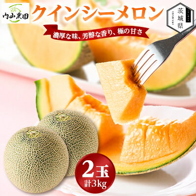 【ふるさと納税】【内山農園】いばらきメロンコンテスト2025クインシーメロン(2玉3kg)2026年5月より発送開始【配送不可地域：離島・沖縄県】【1645300】