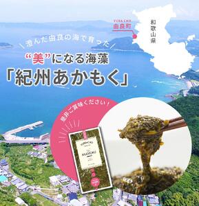 あかもく　紀州あかもく［由良町産］100g×5パック（2025年産）/ あかもく アカモク　ｱｶﾓｸｱｶﾓｸｱｶﾓｸ　海藻　かいそう 【sml132A】
