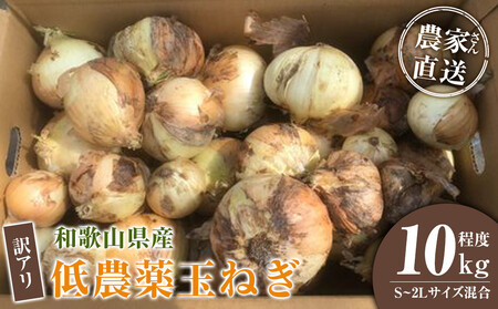 ［2026年発送分・先行予約］訳あり 農家さん直送 低農薬玉ねぎ 10kg程度 S～2L混合［4月中旬～7月中旬頃発送予定］ご家庭用 ※傷有り［KF14］
