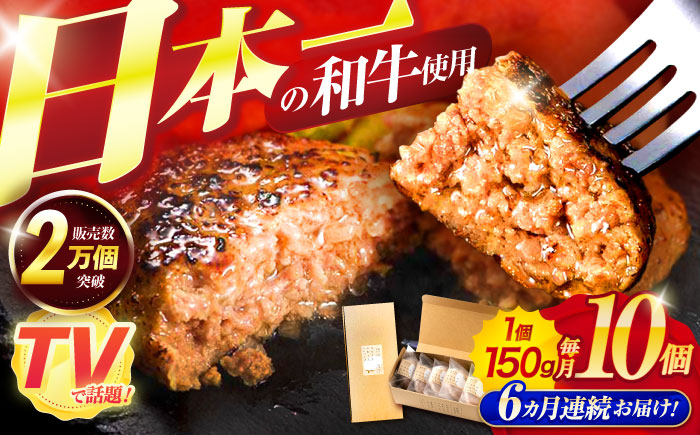 【6回定期便】ながさきふわとろハンバーグ 150g×10個入 / ハンバーグ はんばーぐ 肉 牛肉 豚肉 おかず 惣菜 定期便 / 諫早市 / ワールド・ミート有限会社 [AHBG011] 10万 100000