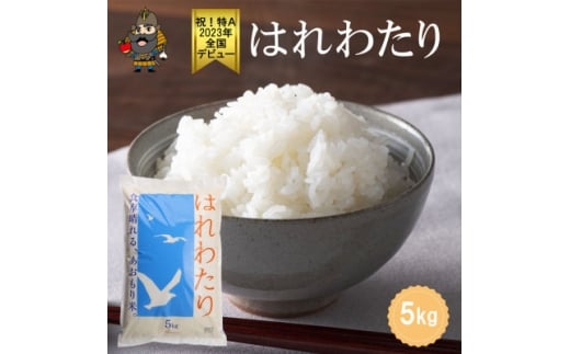 青森県産 はれわたり 精米済み 5kg【1657760】