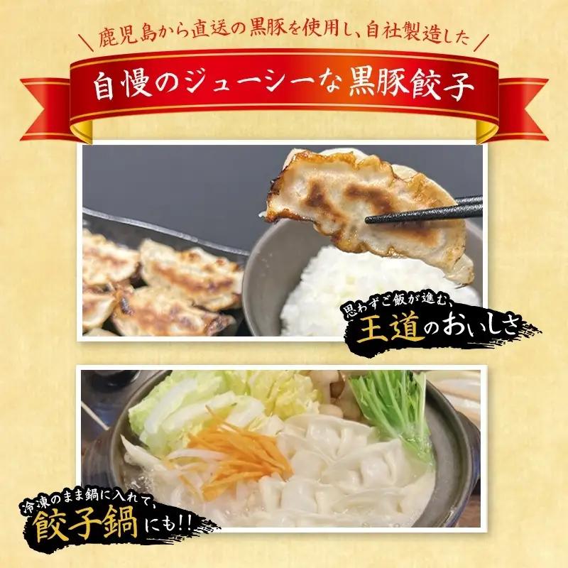 餃子 黒豚餃子 192個 【gnkt0003】