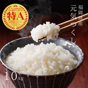 【先行予約】【令和7年産】元気つくし白米10kg(5kg×2袋) [BGAA092]元気つくし 元気つくし 元気つくし 元気つくし