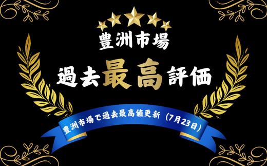 ★北海道・東北・新潟・沖縄・離島配送不可★山口県宇部産 活き車海老 (680g)