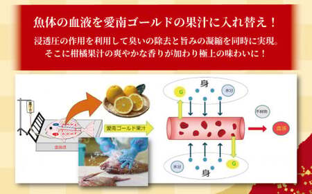 訳あり かつおのたたき 1kg と 愛南ゴールド 真鯛 200g お試し セット 10000円 サイズ 不揃い 規格外 カツオたたき 鰹たたき カツオ タタキ 肉 厚 養殖 タイ みかん 河内晩柑 柑