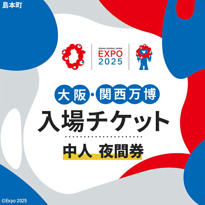【ふるさと納税】No.156 2025年日本国際博覧会入場チケット 夜間券（中人）【島本町返礼品】 ／ 万博 EXPO 2025 大阪万博 関西万博 夢洲 入場券 送料無料 大阪府