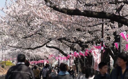 東京都墨田区　日本旅行　地域限定旅行クーポン300,000円分