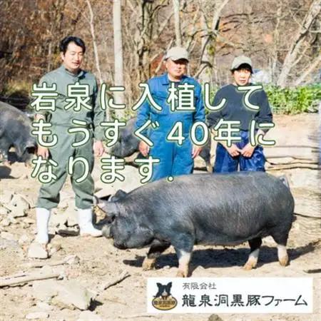黒豚鍋しゃぶセット【龍泉洞黒豚】【岩泉町原産の銘柄豚】【配送不可地域：離島】【1618941】