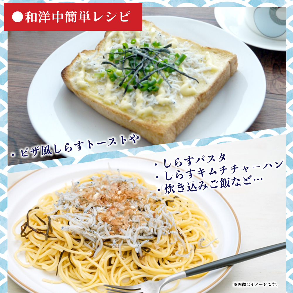 ＜老舗網元 濱田屋の釜あげしらす 合計1kg（100g×10個）＞ 釜揚げ シラス じゃこ 海鮮 海産物 丼 おにぎり 具材 ごはんのお供 おつまみ おやつ 小魚 カルシウム 乾物 小分け 国産 マル