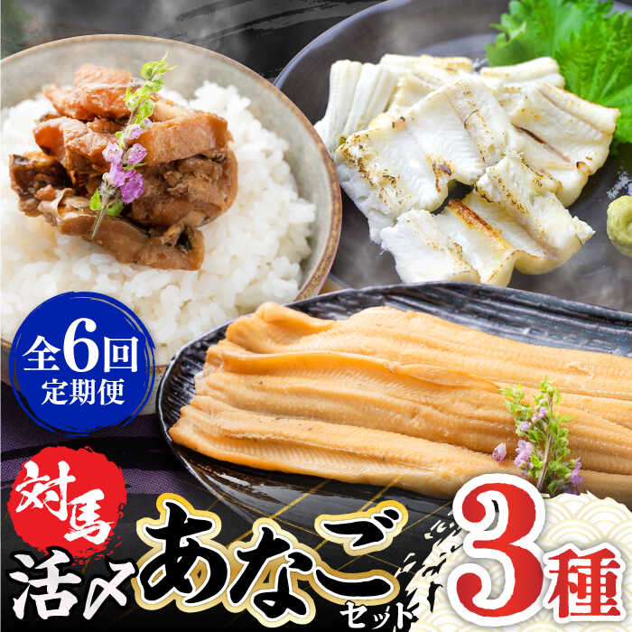 【ふるさと納税】【全6回定期便】対馬 産 活〆 あなご セット《対馬市》【対馬地域商社】九州 長崎 煮あなご 佃煮 アナゴ[WAC019] 74000 74000円