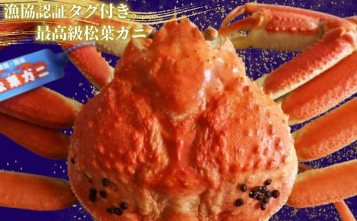漁協認証タグが付いており、ご安心してお家で楽しめる松葉ガニでございます！　 絶妙な塩加減で本格的なカニの美味しさをご家庭で。