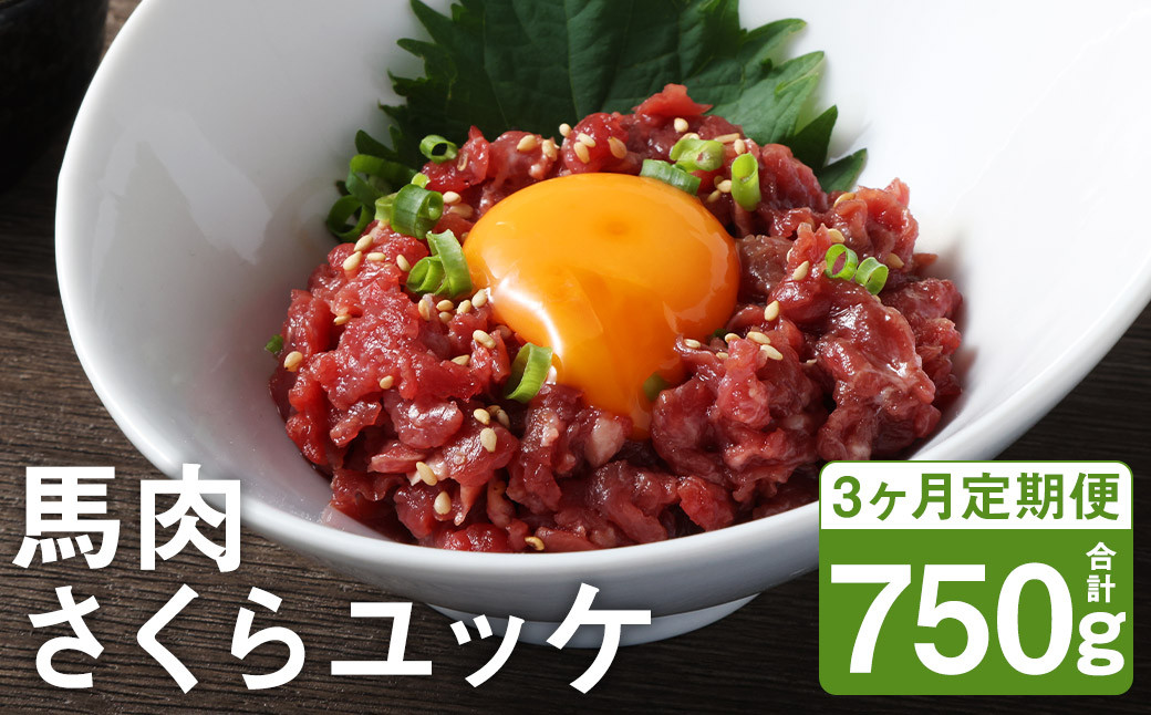 
【3ヶ月定期便】 馬肉 さくらユッケ 250g（50g×5パック）×3回 お肉 肉 ユッケ 赤身 馬刺し 馬刺 馬ユッケ 定期 小分け カット 冷凍
