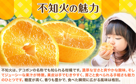 不知火 秀品・優品混合/サイズ混合 5kg 中畑農園 しらぬい 柑橘