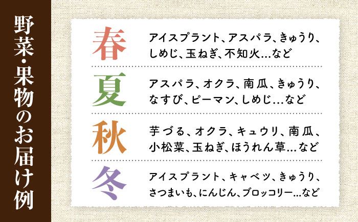 【6回定期便】野菜・果物の詰合せと極みドレッシング85ml×5本 / 野菜 やさい 果物 くだもの フルーツ ふるーつ ドレッシング  / 大村市 / おおむら夢ファームシュシュ [ACAA219]