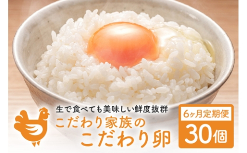 [No.5895-0628]6ヶ月 定期便 こだわり家族のこだわり卵 30個 セット 安芸高田市 たまご 鶏卵 6回
