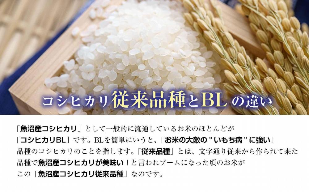 【特別栽培米】南魚沼産 コシヒカリ 5kg ×5袋 計25kg いなほ新潟 農家のこだわり 新潟県 南魚沼市 塩沢地区 しおざわ お米 こめ 白米 コメ 食品 人気 おすすめ 送料無料